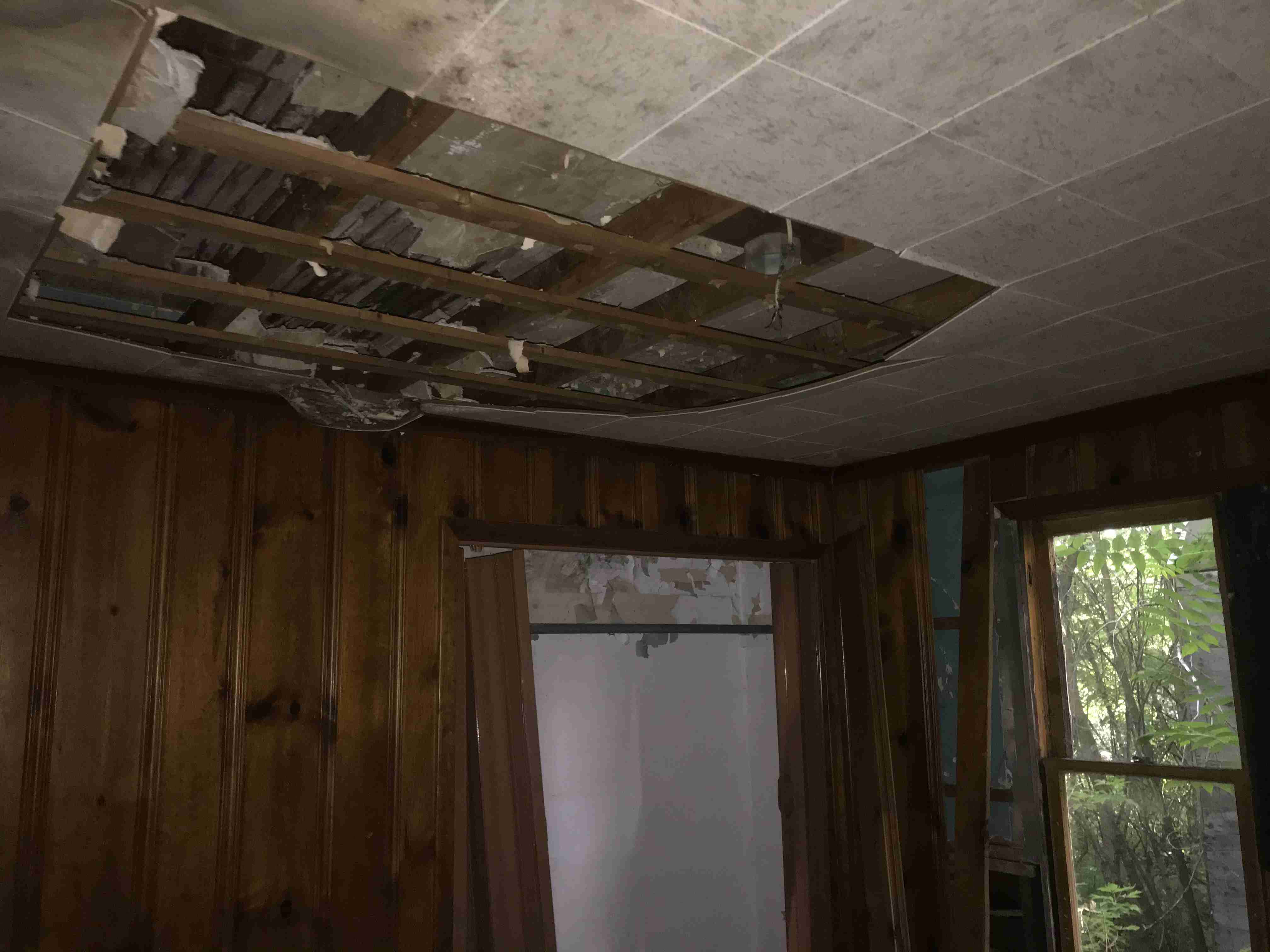 Photo Aug 20, 7 11 43 PM.jpg